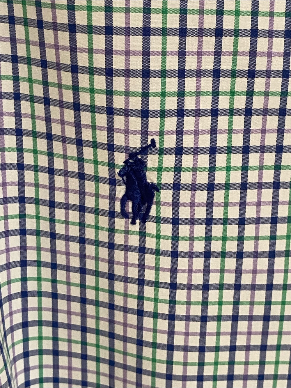 Polo by Ralph Lauren Blue & Green Checked Long Sleeve Button-Down Shirt Size Lg